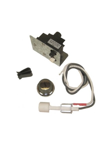 F67847 Kit di accensione + elettrodo Genesis 310/320 2 pin